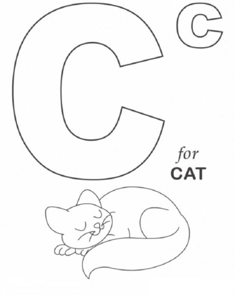 Hình ảnh chữ c và con mèo cho bé tập tô