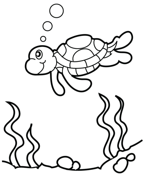 Hình ảnh con rùa đang bơi cho bé tập tô