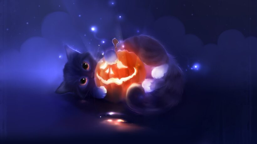 hình ảnh mèo halloween cute