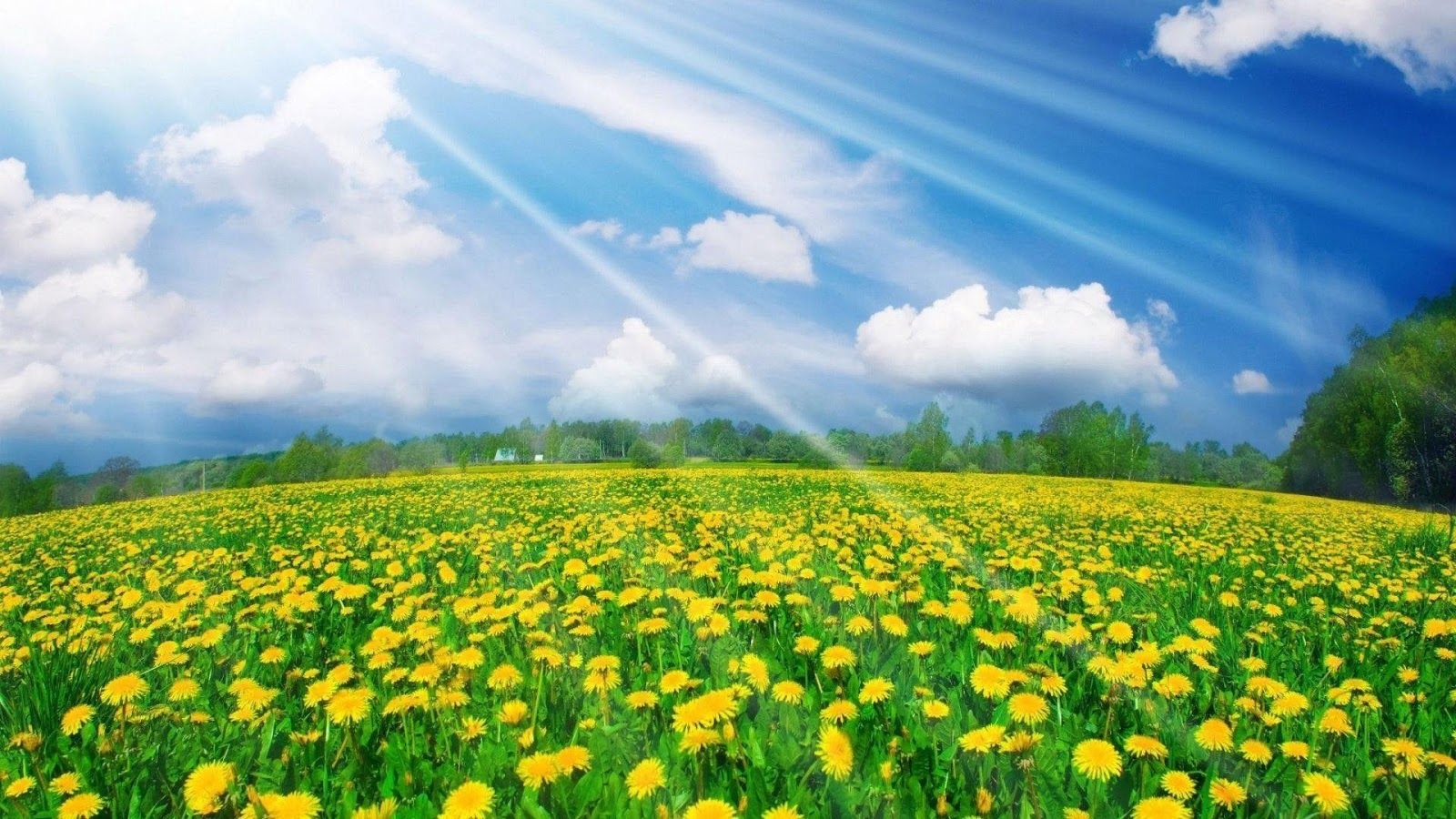 Tìm hiểu nhiều hơn 105 hình nền mùa xuân đẹp hay nhất - thtantai2 ...