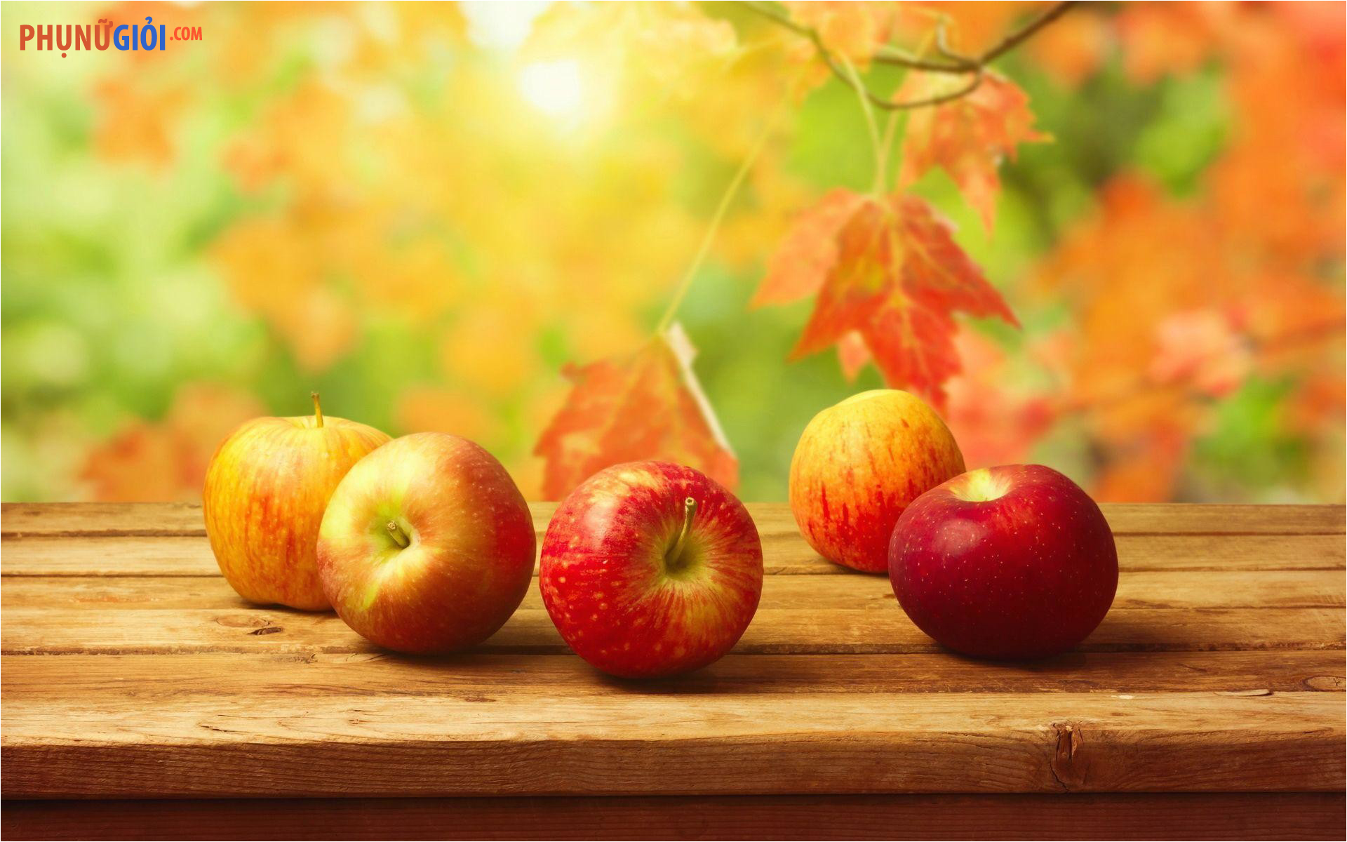 Hình ảnh quả táo đẹp chín mọng, ấn tượng mang cảm giác thư thái