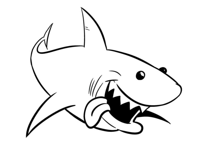 Hình vẽ cá mập đơn giản cho bé tập tô
