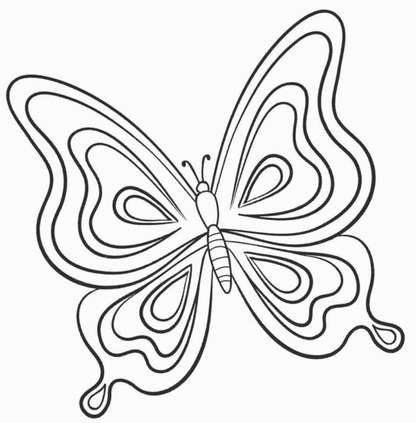 Bộ sưu tập hình ảnh tranh vẽ con bướm đẳng cấp với hơn 999+ tác phẩm chất  lượng Full 4K. - TH Điện Biên Đông