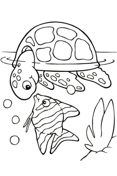 Hình vẽ con rùa và con cá nói chuyện với nhau