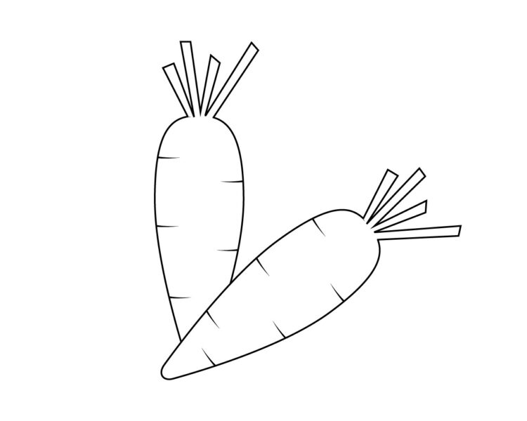 Hình vẽ củ cà rốt đơn giản nhất