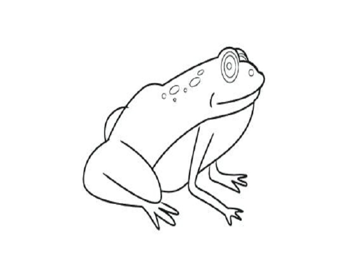 Hình vẽ đen trắng con ếch cho bé tô màu