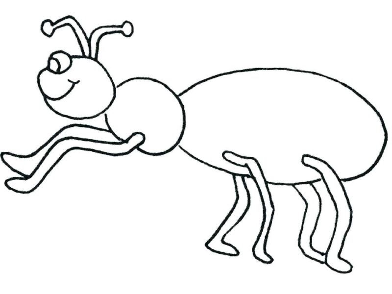 Hình vẽ đơn giản con kiến cho bé tô màu