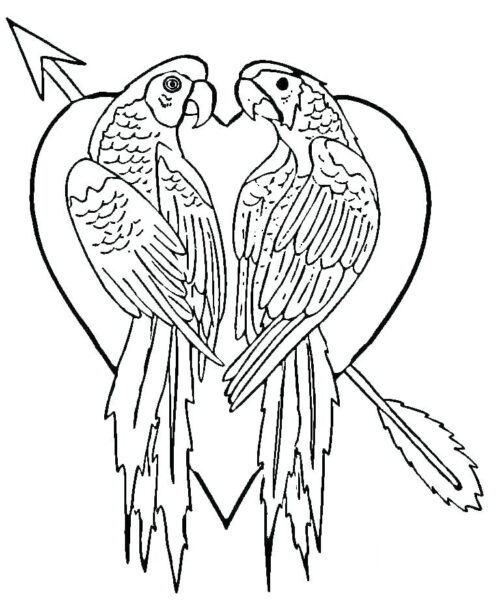 Hình vẽ hai con chim và trái tim bị mũi tên xuyên qua