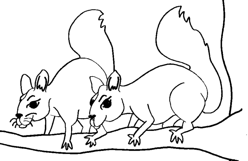 Hình vẽ hai con sóc