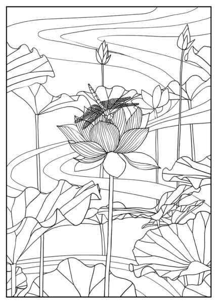 Hình vẽ hoa sen trong đầm