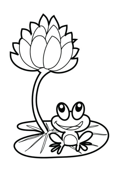 Hình vẽ hoa sen và con ếch