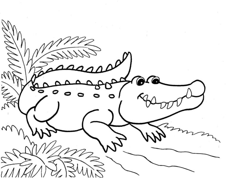 Hình vẽ tập tô cá sấu