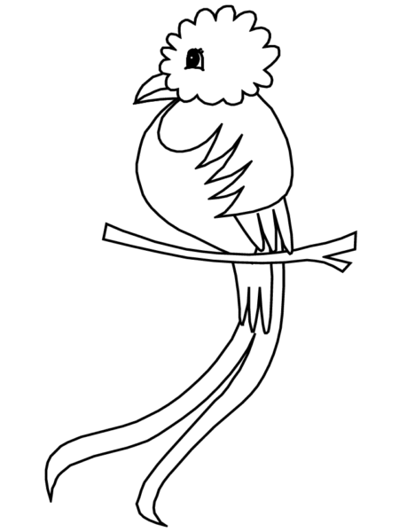 Hình vẽ tập tô con chim cho bé