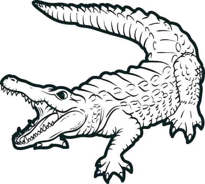 Mẫu tranh tô màu cá sấu