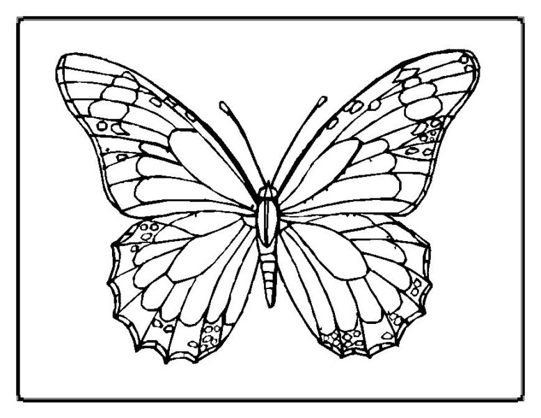 Mẫu tranh tô màu con bướm