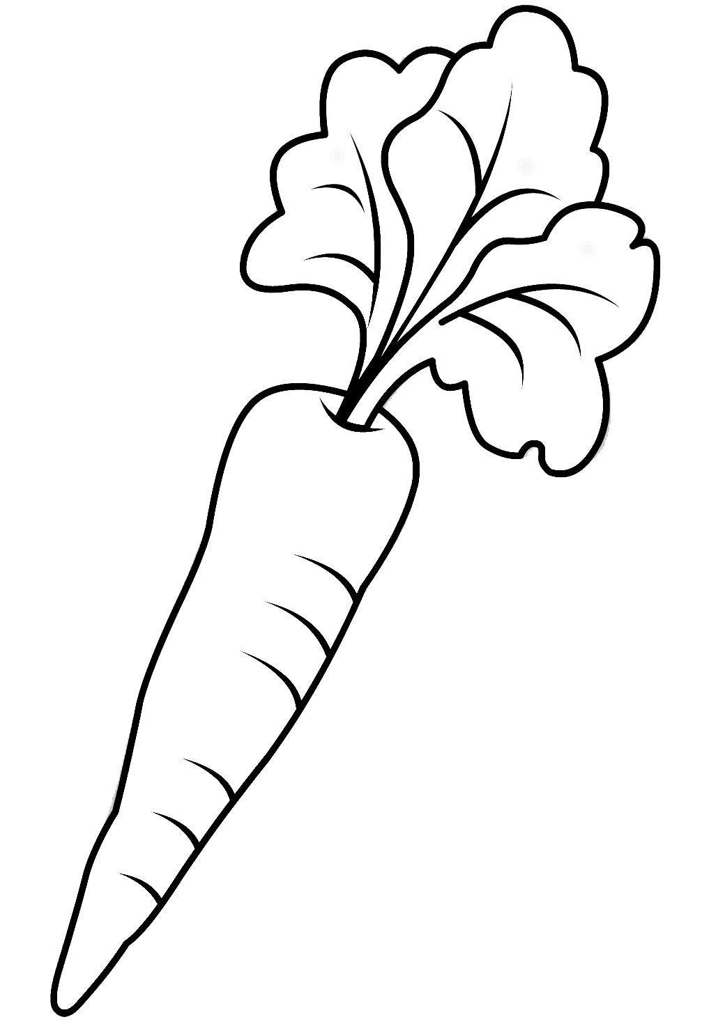 Xem hơn 48 ảnh về hình vẽ củ cà rốt  daotaonec