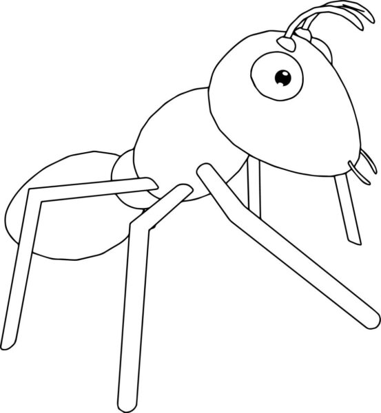 Mẫu vẽ đơn giản con kiến cho bé tô màu