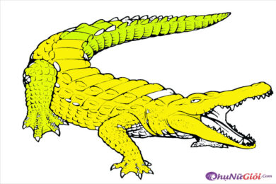 Tranh tô màu cá sấu