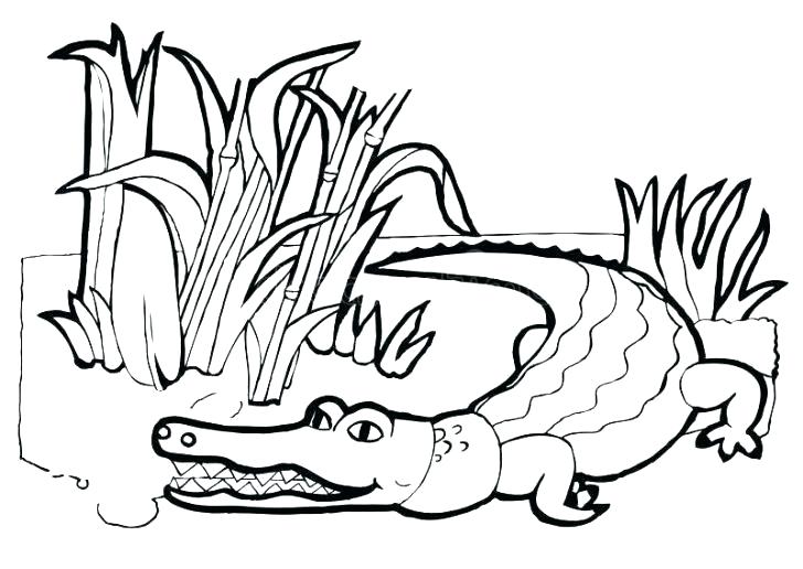 Hình ảnh Trang Tô Màu Cá Sấu Dễ Thương Với Bản Vẽ Phác Thảo Phác Thảo Mắt  Và Mõm Vectơ PNG  Vẽ Cá Sấu đơn Giản Phác Thảo Cá Sấu Dễ