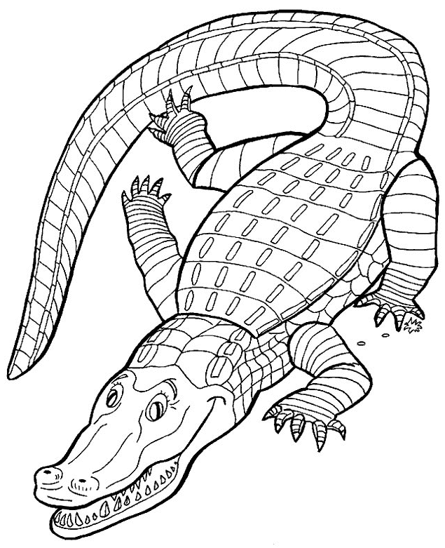 Khám phá với hơn 274 về vẽ hình cá sấu hay nhất  Starkid
