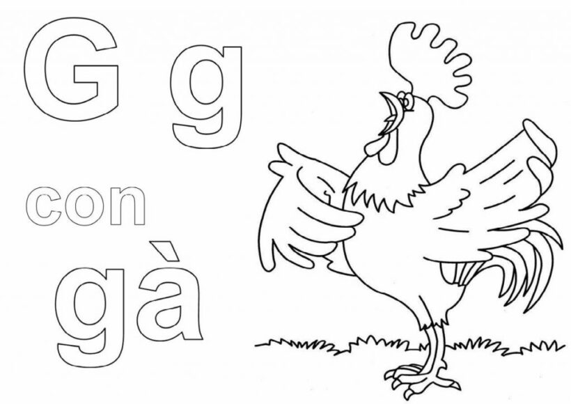 Tranh tô màu chữ cái hinh chữ g và con gà