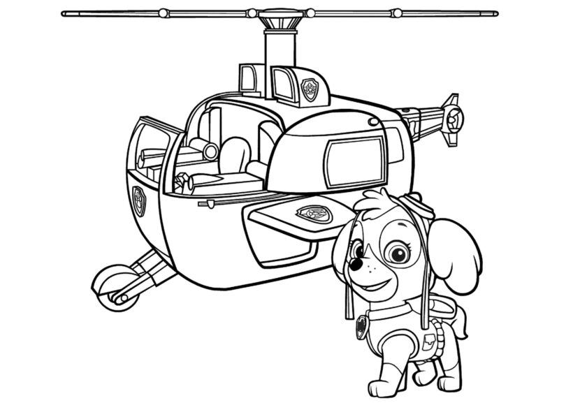 Tranh tô màu chú chó cứu hộ và chiếc máy bay của mình