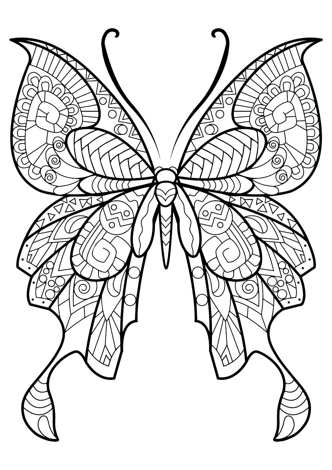Tranh tô màu con bướm xinh đẹp, nhẹ nhàng dành tặng cho bé yêu