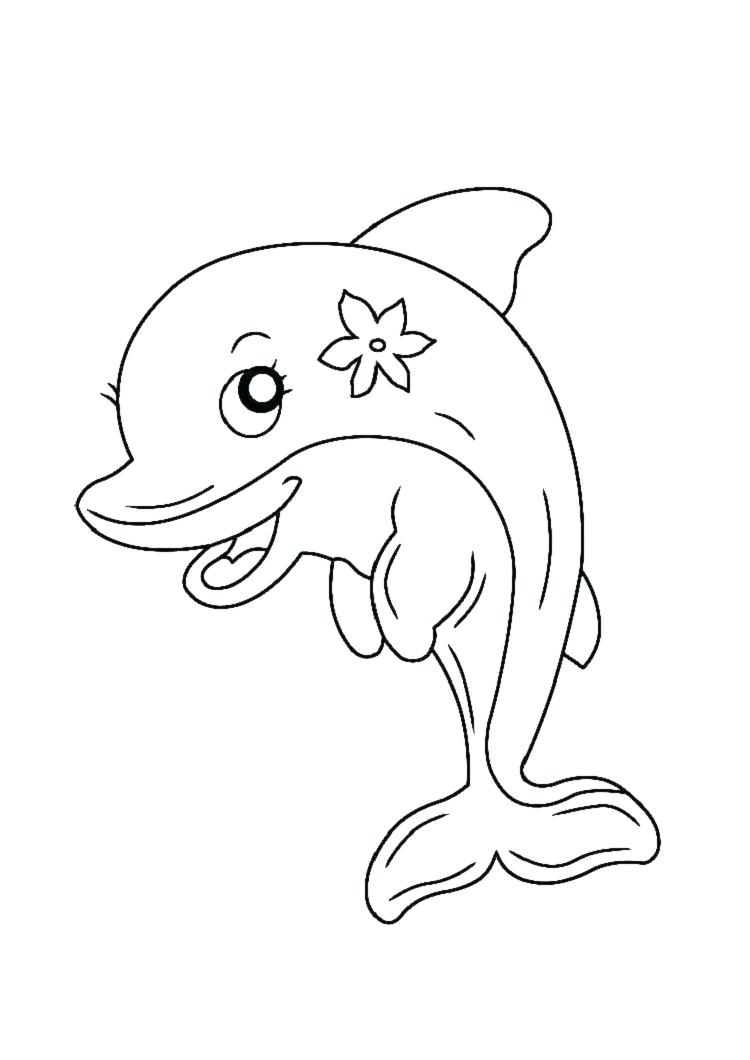 Cập nhật 51 về hình vẽ cá heo  cdgdbentreeduvn