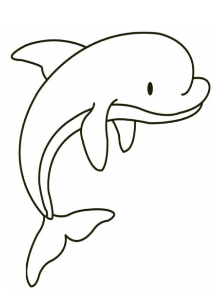 Tranh tô màu con cá heo hình vẽ đơn giản