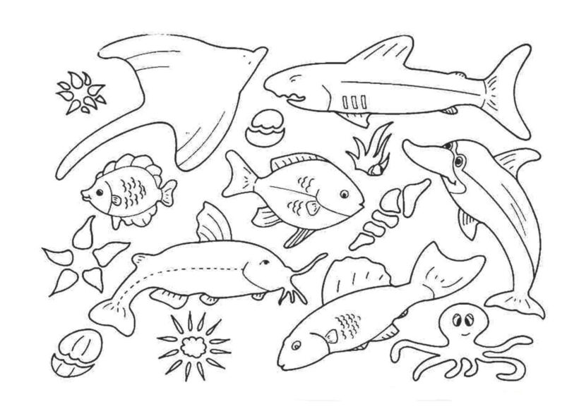 Tranh tô màu con cá heo và những loài sinh vật biển