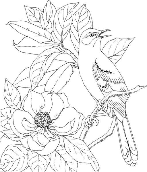 Tranh tô màu con chim đậu trên cành cây hoa