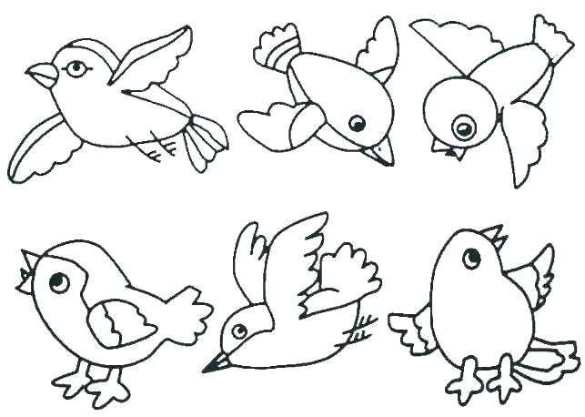 Tranh tô màu con chim hình vẽ đơn giản nhất