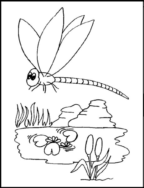 Tranh tô màu con chuồn chuồn bay qua hồ sen