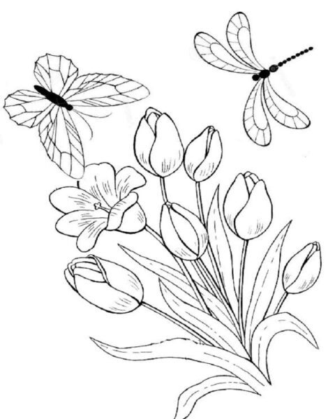 Tranh tô màu con chuồn chuồn, bướm, khóm hoa