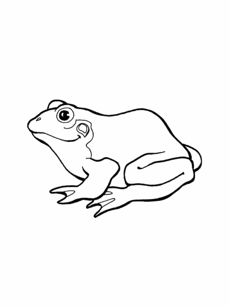 Tranh tô màu con ếch đẹp nhất