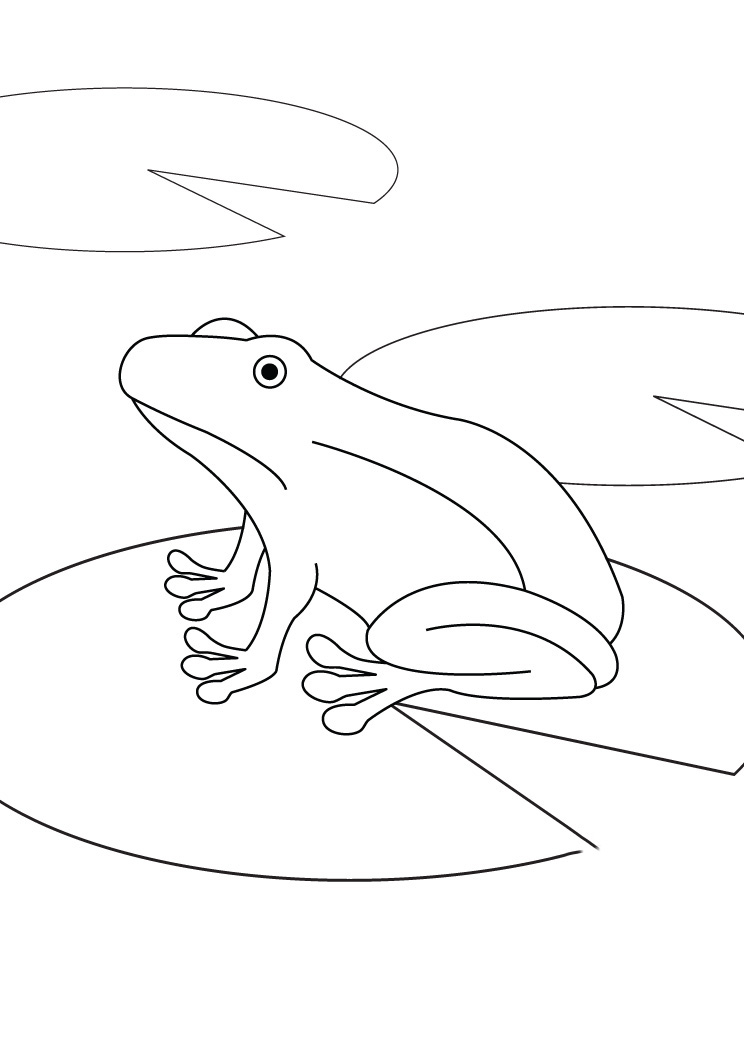 Cách vẽ con ếch  Dạy Vẽ