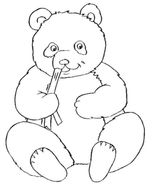 Tranh tô màu con gấu ăn cành trúc