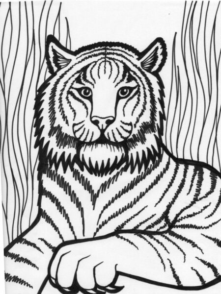 Tranh tô màu con hổ có những chiếc móng vuôt sắc nhọn