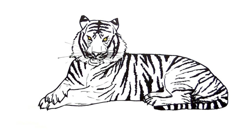 Tranh tô màu con hổ nằm