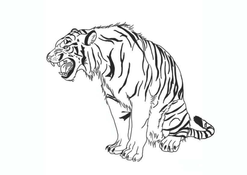 Tranh tô màu con hổ nhe răng