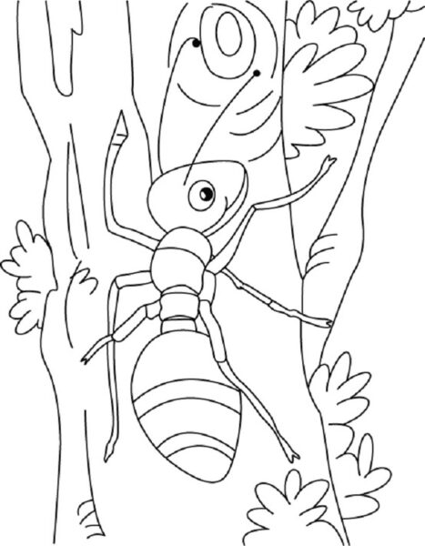 Tranh tô màu con kiến bò trên thân cây