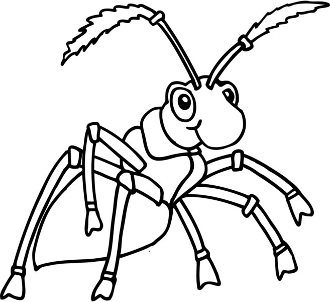 Tranh tô màu con kiến có nhiều chân