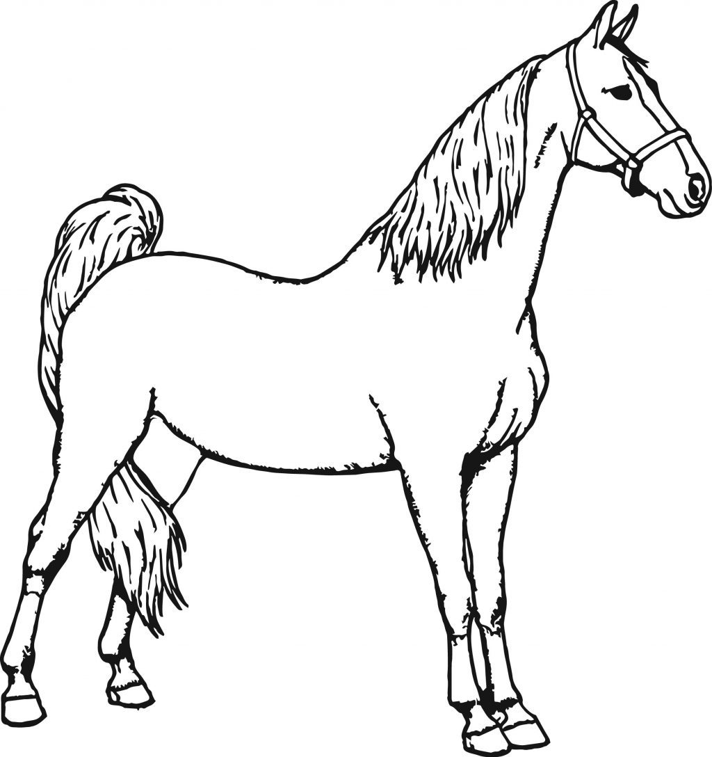 Hình vẽ chưa tô màu con ngựa cho bé tập tô