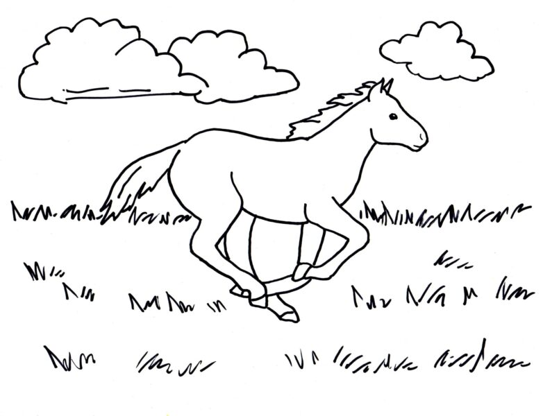 Tranh tô màu con ngựa phi trên đồng cỏ