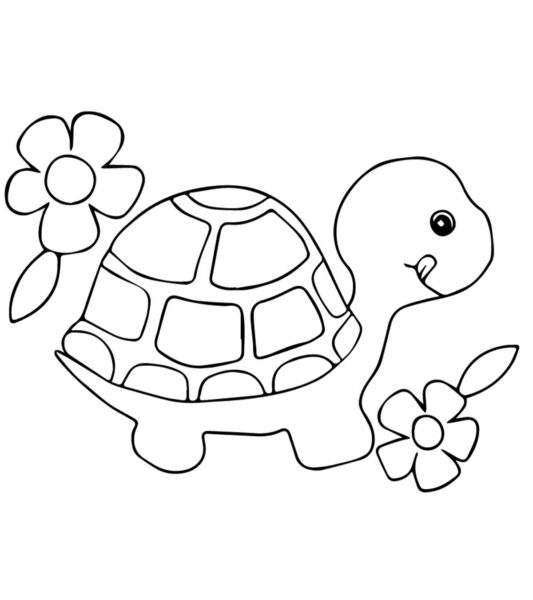 Tranh tô màu con rùa và những bông hoa