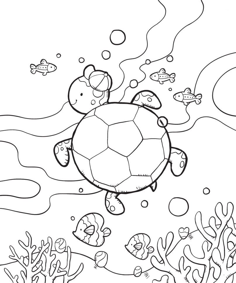 234 trang tô màu con rùa siêu dễ thương cho bé tập tô màu  Tranh Tô Màu  cho bé