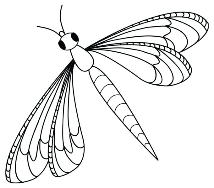 Tranh tô màu côn trùng hình con chuồn chuồn