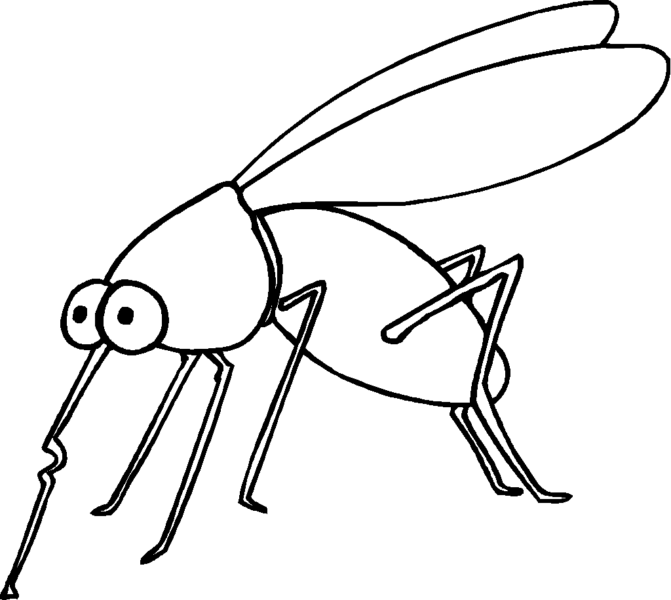 Tranh tô màu côn trùng hình con muỗi