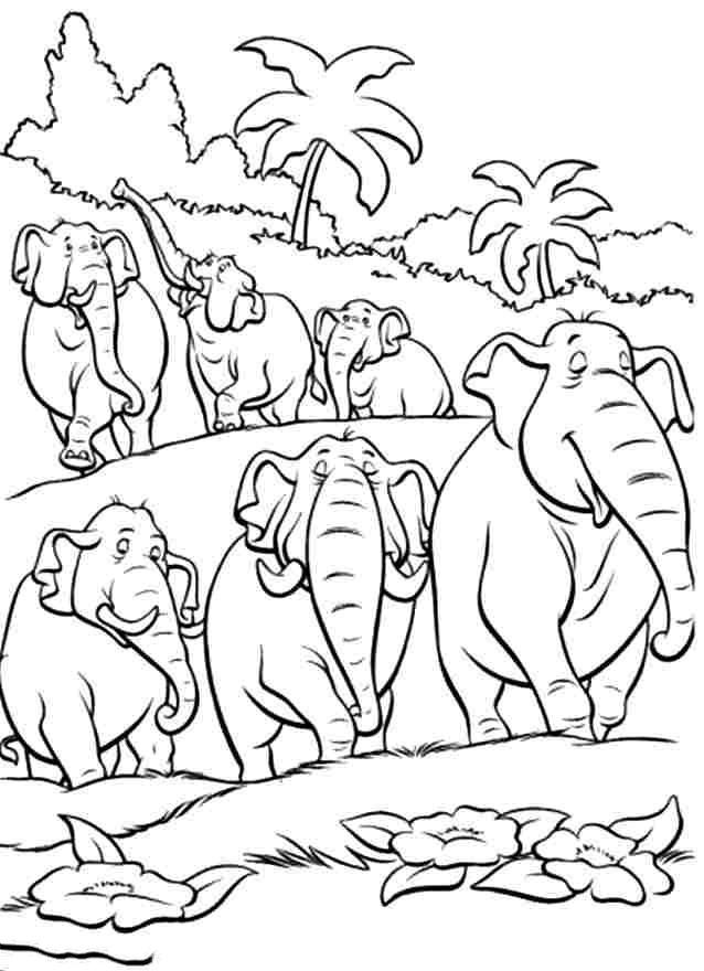 Cách vẽ con voi  Dạy Vẽ