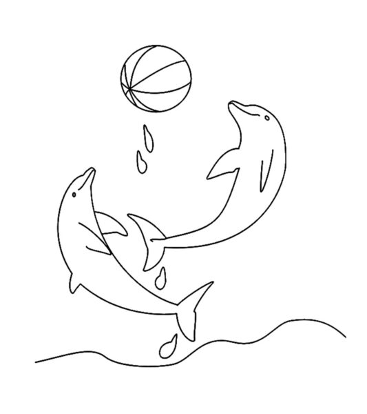 Tranh tô màu hai con cá heo đang nô đùa cùng với quả bóng